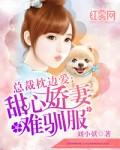 总裁枕边的替嫁新娘可以在哪里看