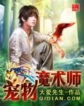 宠物魔法官方版