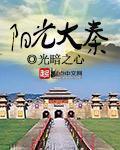 阳光大秦TXT百度