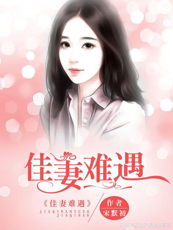 佳妻难遇TXT