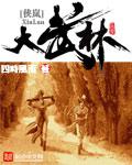 大武林流派