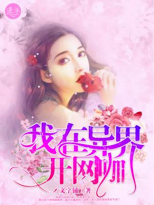 我在异世界开网咖全集