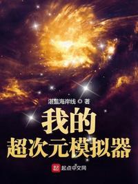 我的次元人生模拟器