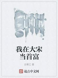 我在大宋当大官gm怎么弄