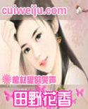 田野花香(乡村猎艳) 第505章