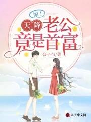 惊天降老公竟是首富为什么没更新了
