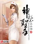 神医圣手六个美女老婆全集免费观看