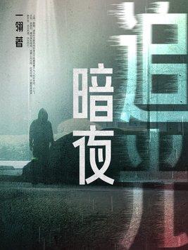 央广新闻暗夜追光