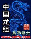 中国龙组系列