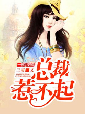 一夜撩情:总裁惹不起