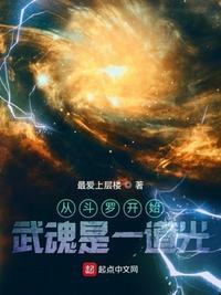 从斗罗开始:武魂是一道光