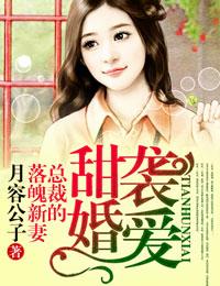 甜婚袭爱,总裁的落魄新妻